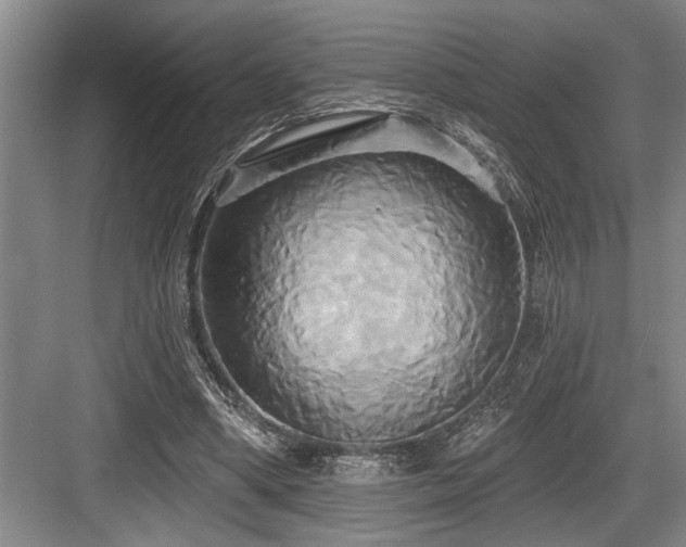 X0000084020394200702161233