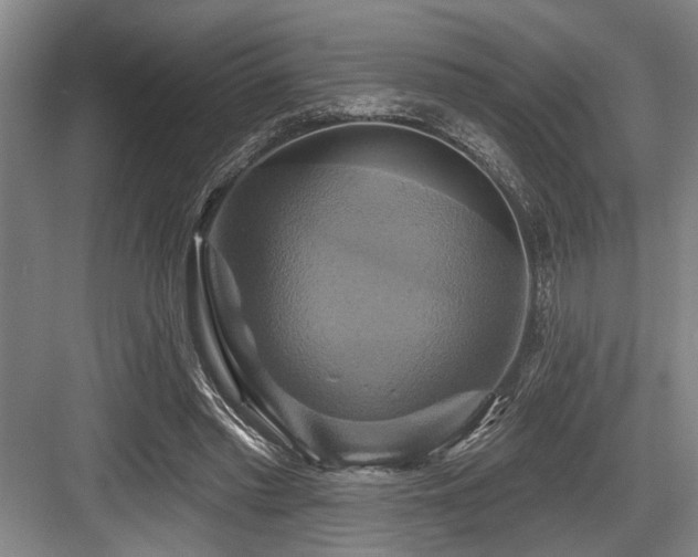 X0000084020397200702161233