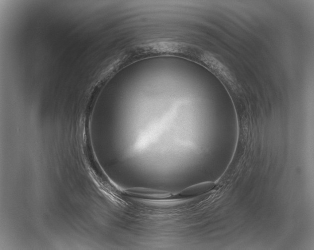X0000084020398200702161233