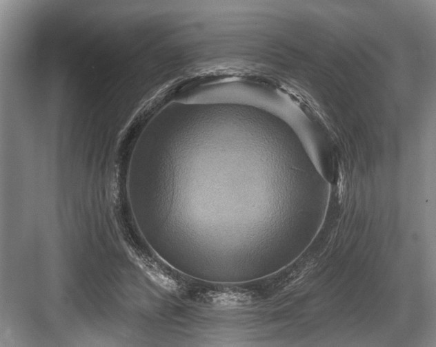 X0000084020400200702161233