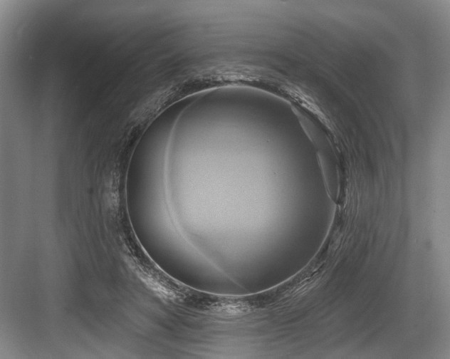 X0000084020402200702161233