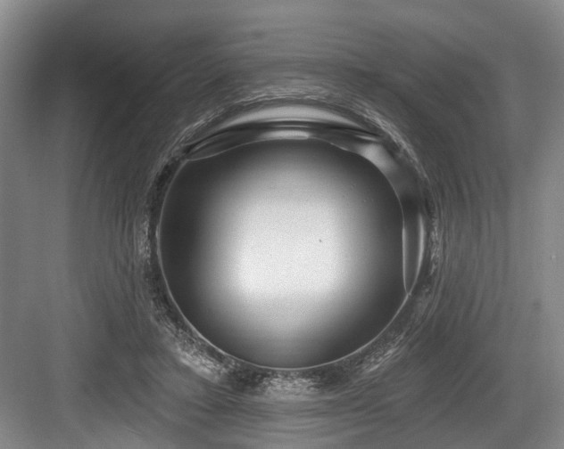 X0000084020403200702161233