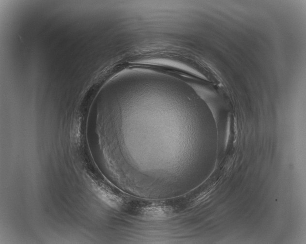 X0000084020404200702161233