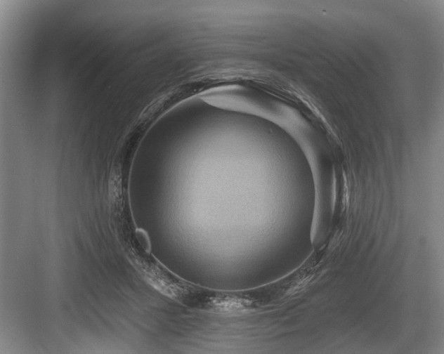 X0000084020407200702161233
