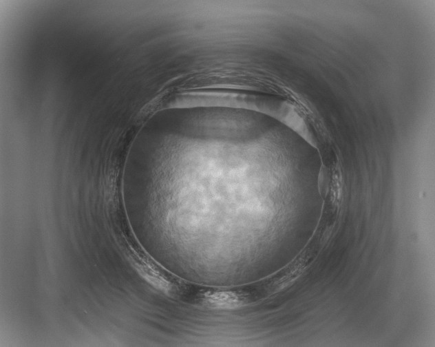 X0000084020409200702161233