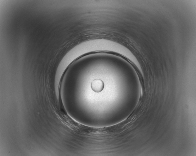X0000084020412200702161233