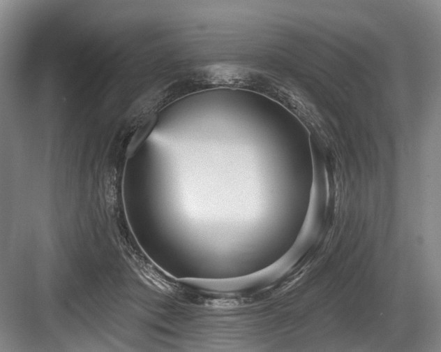 X0000084020413200702161233