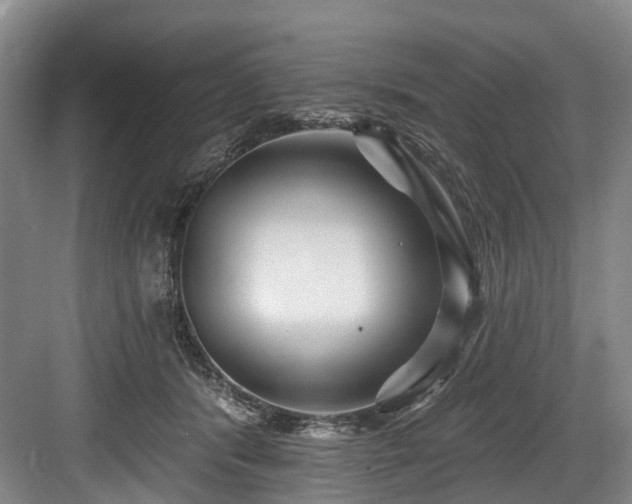 X0000084020416200702161233