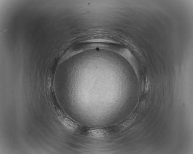 X0000084020417200702161233