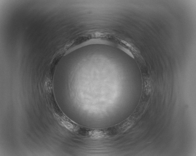 X0000084020419200702161233