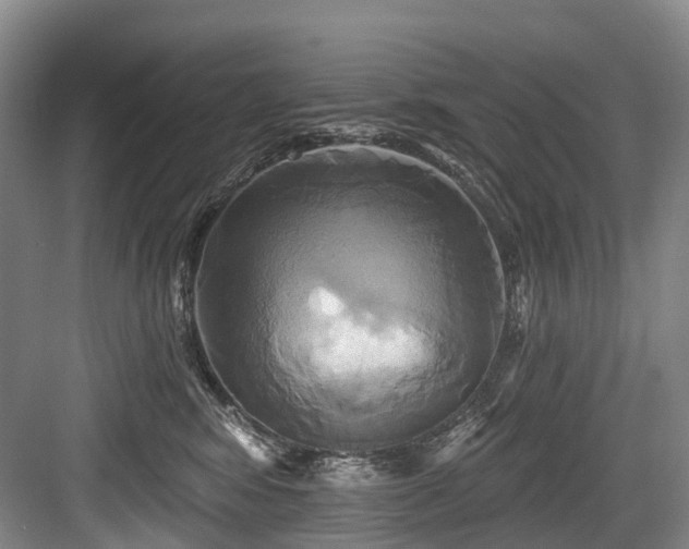 X0000084020424200702161233