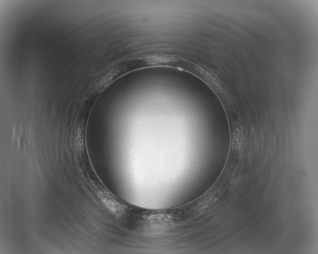 X0000084020426200702161233