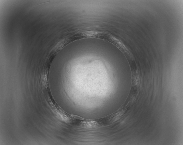X0000084020427200702161233