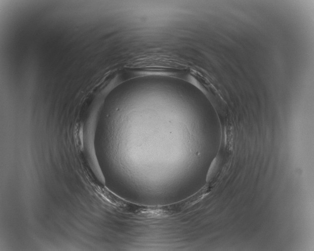 X0000084020428200702161232