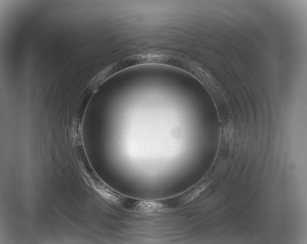 X0000084020429200702161232