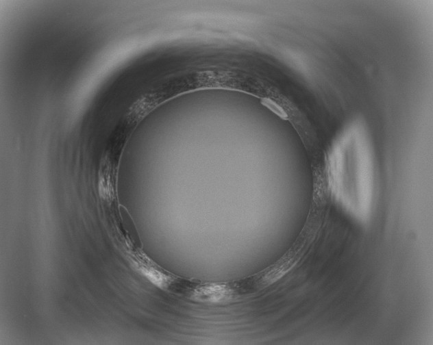X0000084020431200702161232