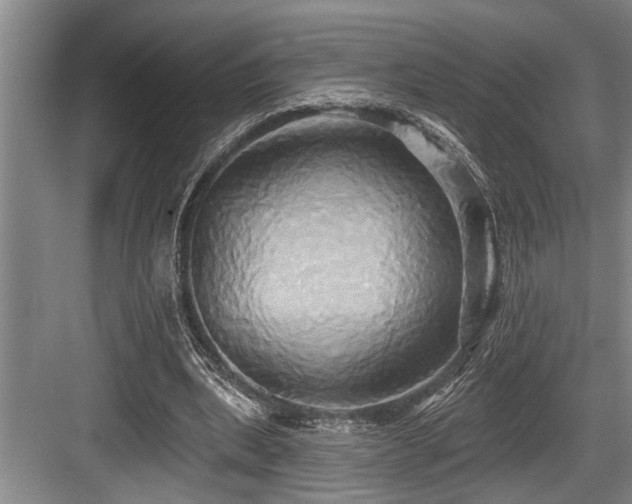 X0000084020439200702161232