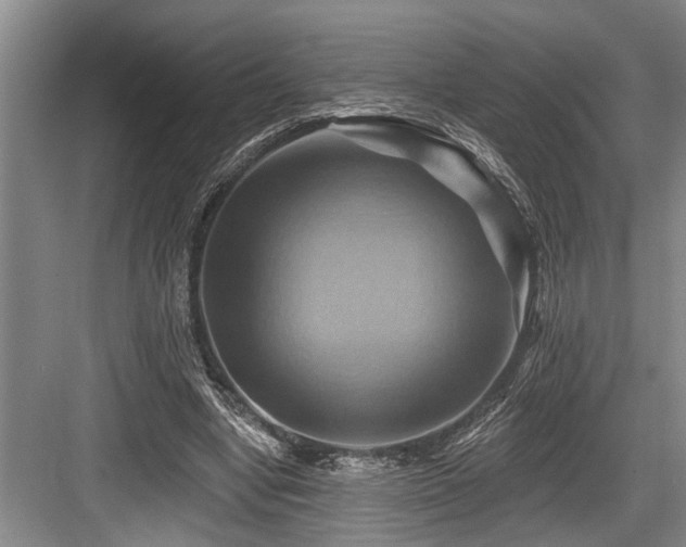 X0000084020442200702161232