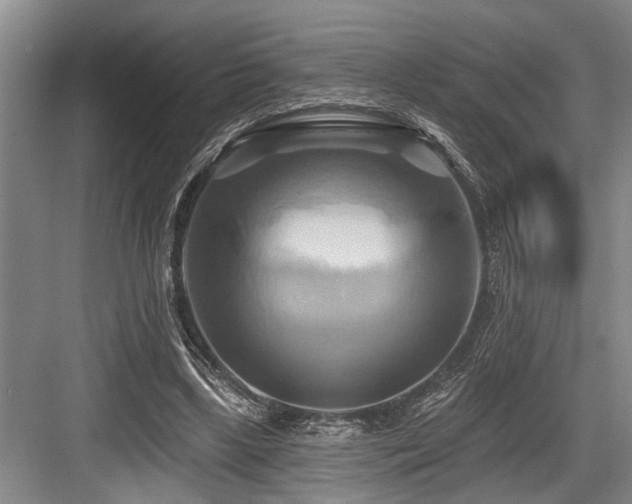 X0000084020443200702161232