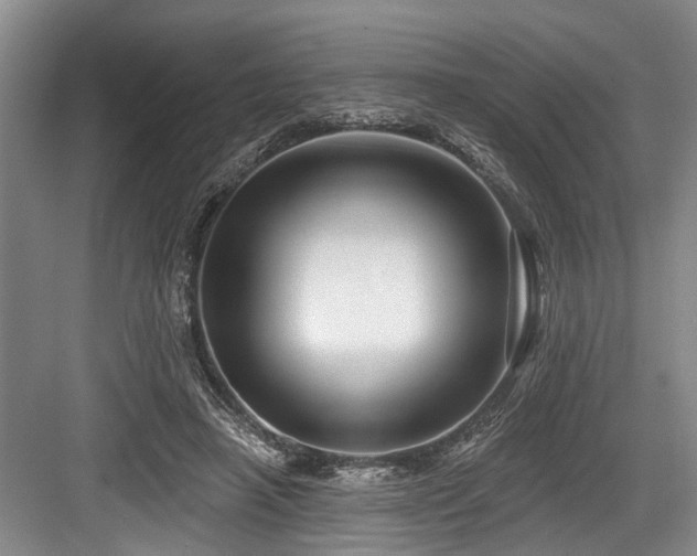 X0000084020450200702161232