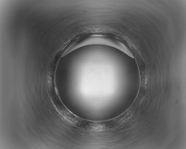 X0000084020456200702161232