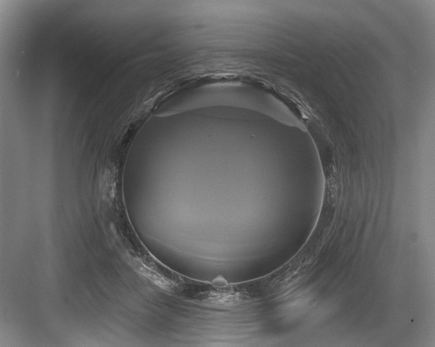 X0000084020458200702161232