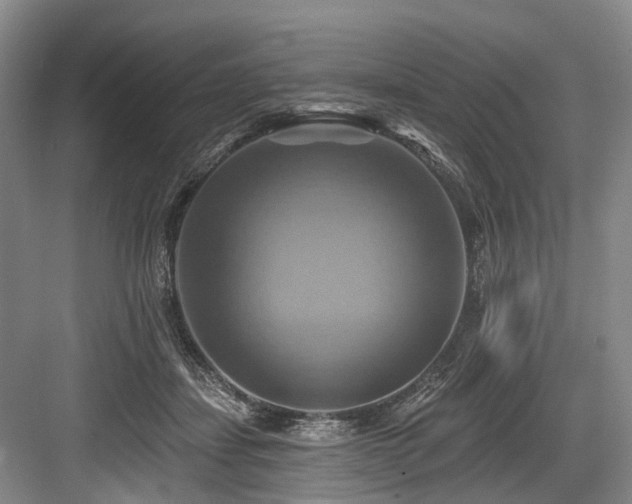 X0000084020459200702161232