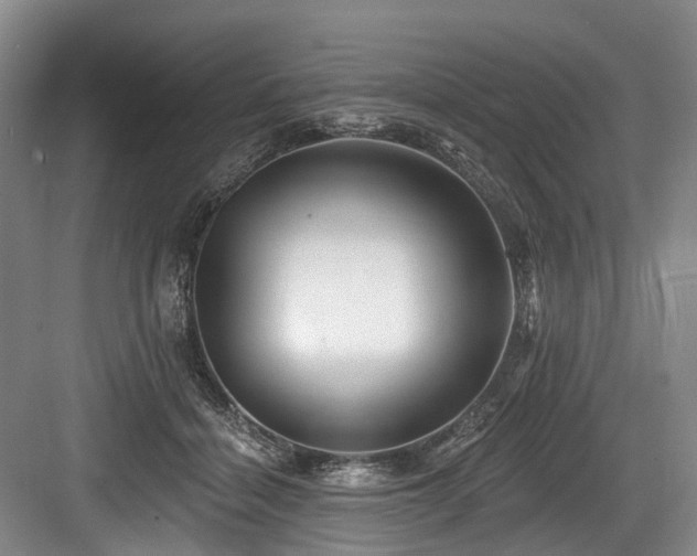 X0000084020460200702161232