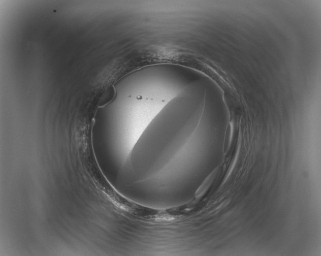 X0000084020462200702161232