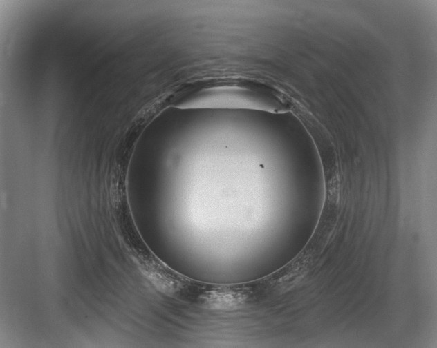 X0000084020464200702161232