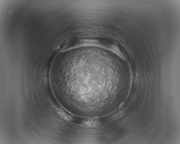 X0000084020466200702161232