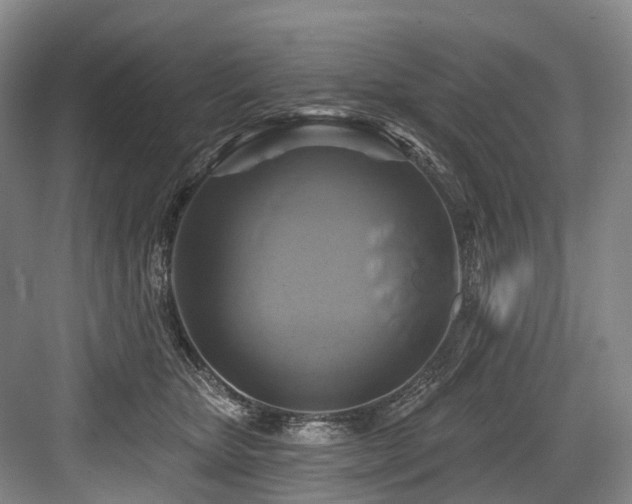 X0000084020467200702161232