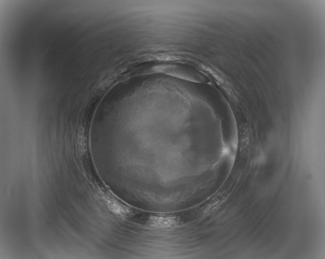 X0000084020469200702161232