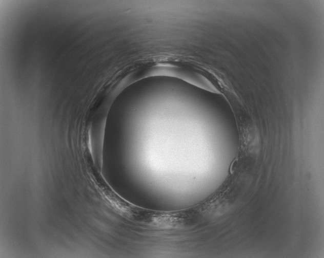 X0000084020470200702161232