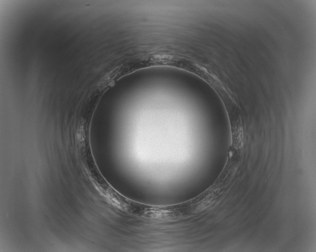 X0000084020472200702161232