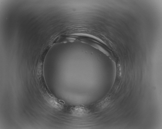 X0000084020475200702161232