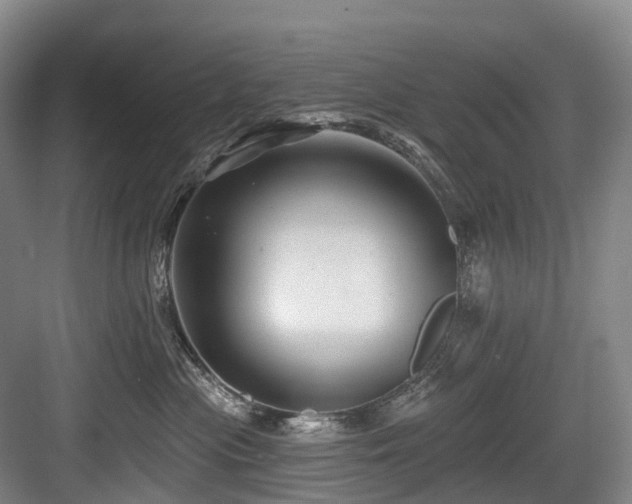 X0000084020477200702161232