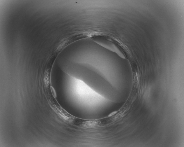 X0000084020479200702161232