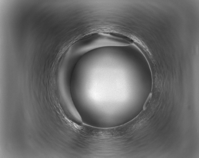 X0000084020481200702161232