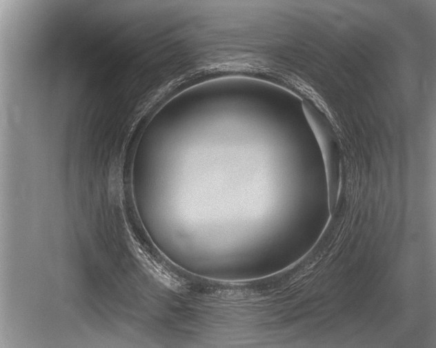 X0000084020482200702161232