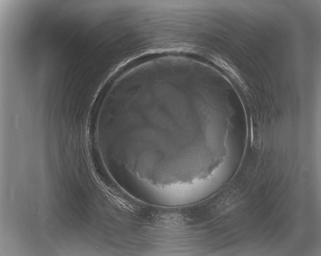 X0000084020483200702161232