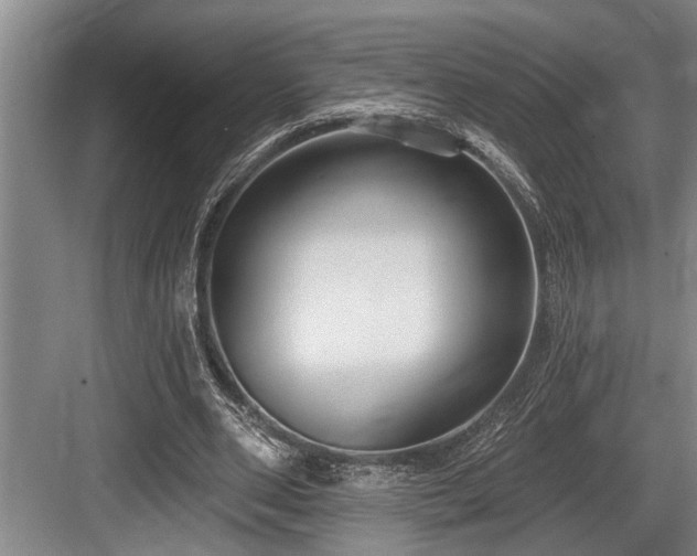 X0000084020486200702161232