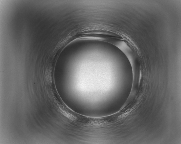 X0000084020489200702161231