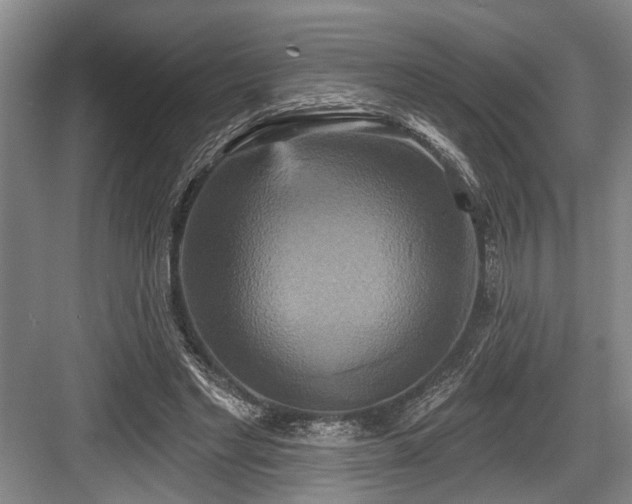 X0000084020493200702161231