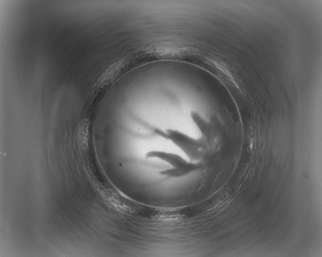 X0000084020495200702161231