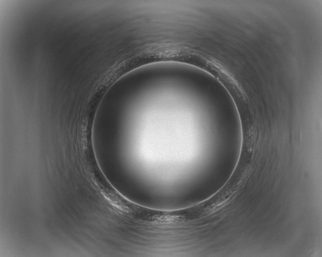 X0000084020497200702161231