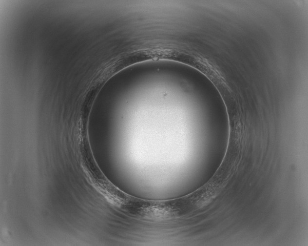 X0000084020498200702161231