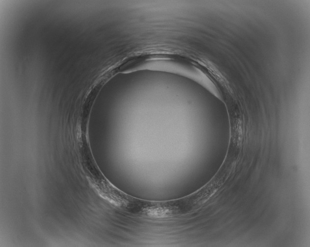 X0000084020500200702161231