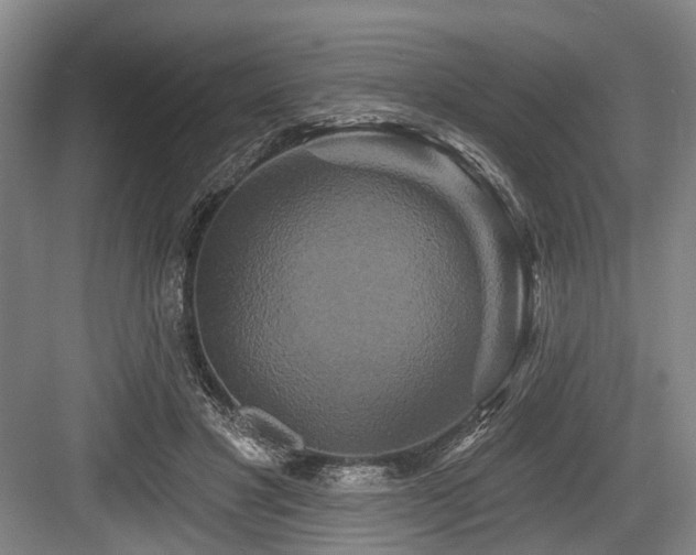 X0000084020501200702161231