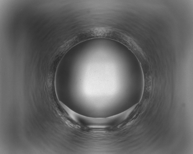 X0000084020505200702161231